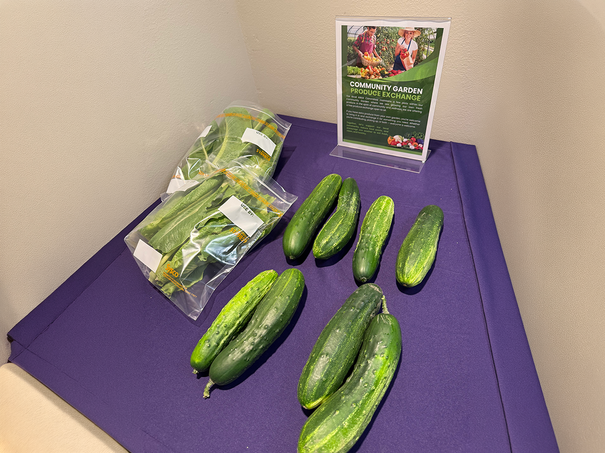 Ascension Calumet’s Community Garden Brings Healthy Food to All 