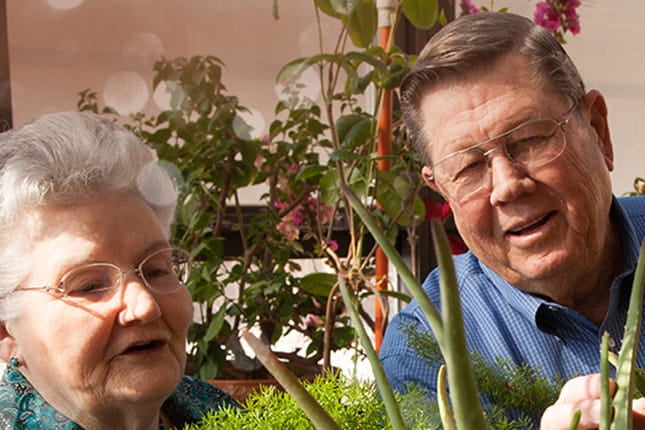 Seniors working in their garden